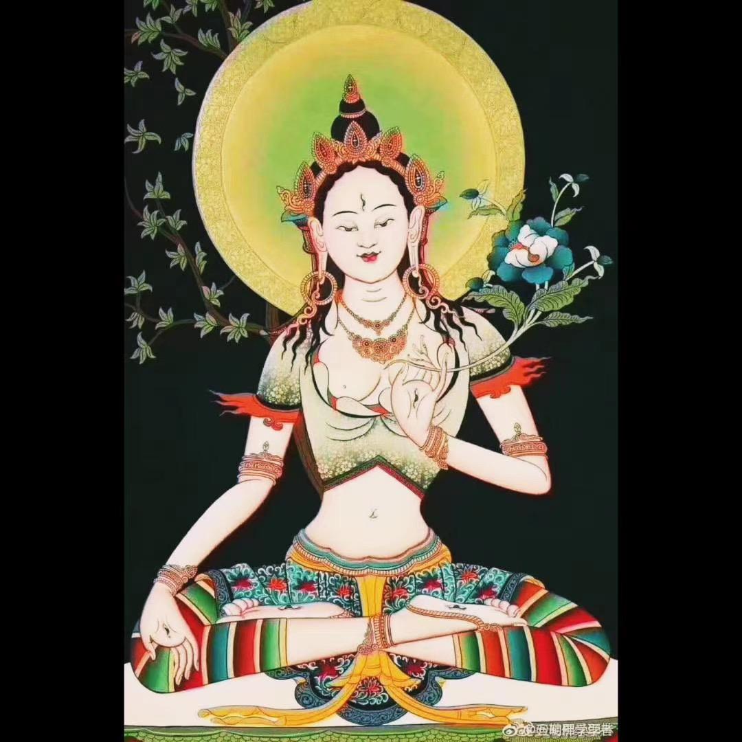 🌹扎尕🌹1376🪷💐🍇🍏🍊