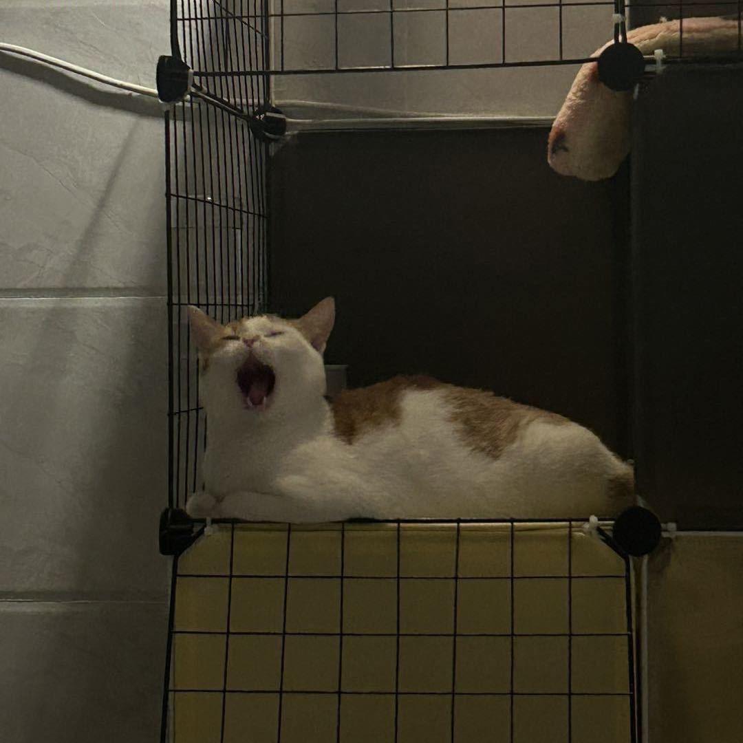 新仔电脑装机DIY主机