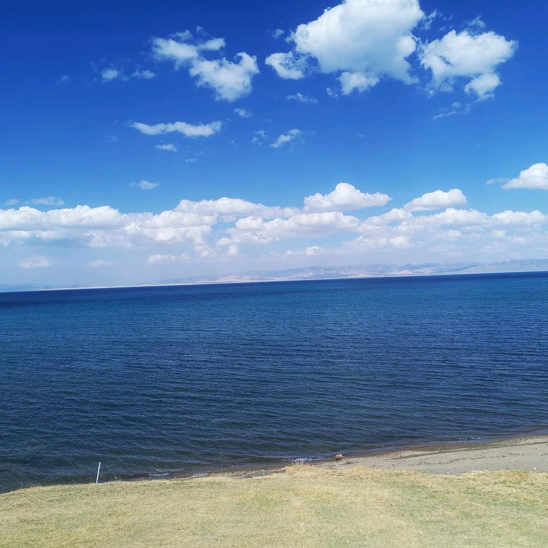 朱娃子[朱华涛]