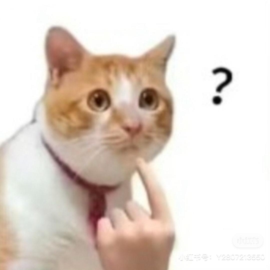 咕叽不会咕叽咕叽