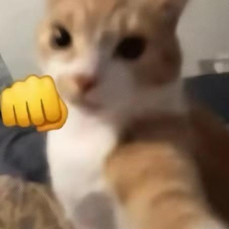 分别总是在眼前