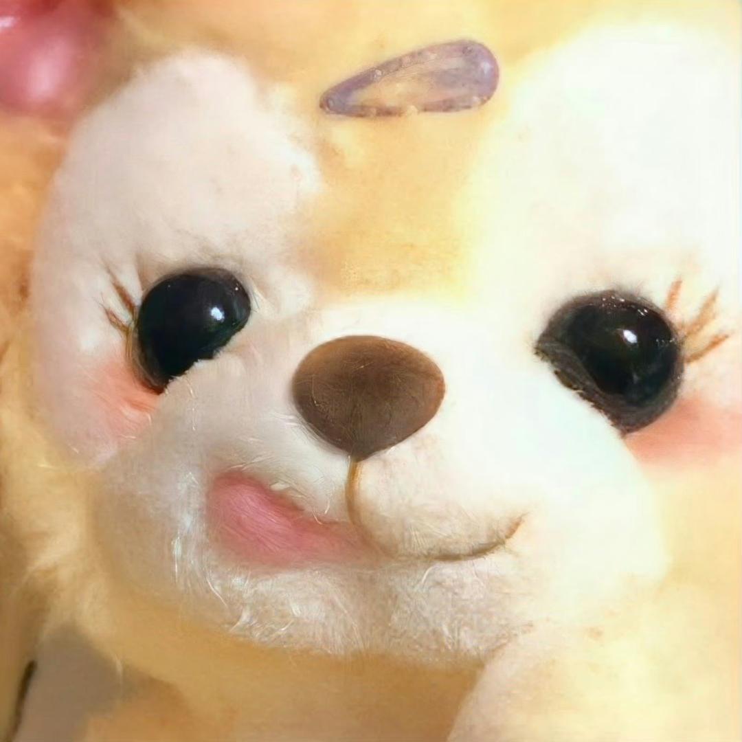 珍宝嘟