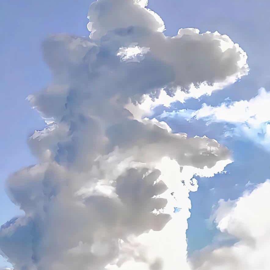 谦虚的小火龙