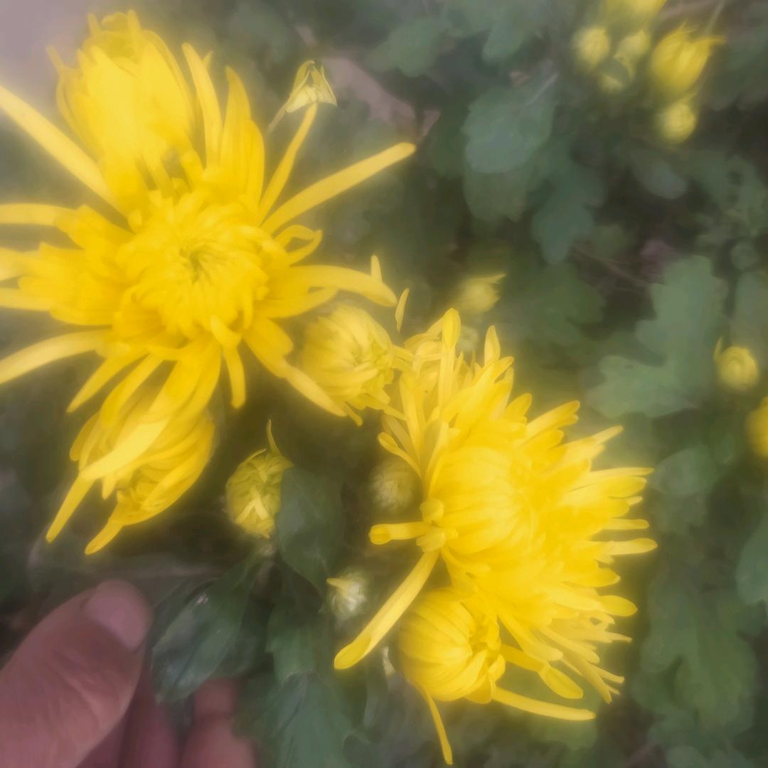 用户5545260141316飞哥