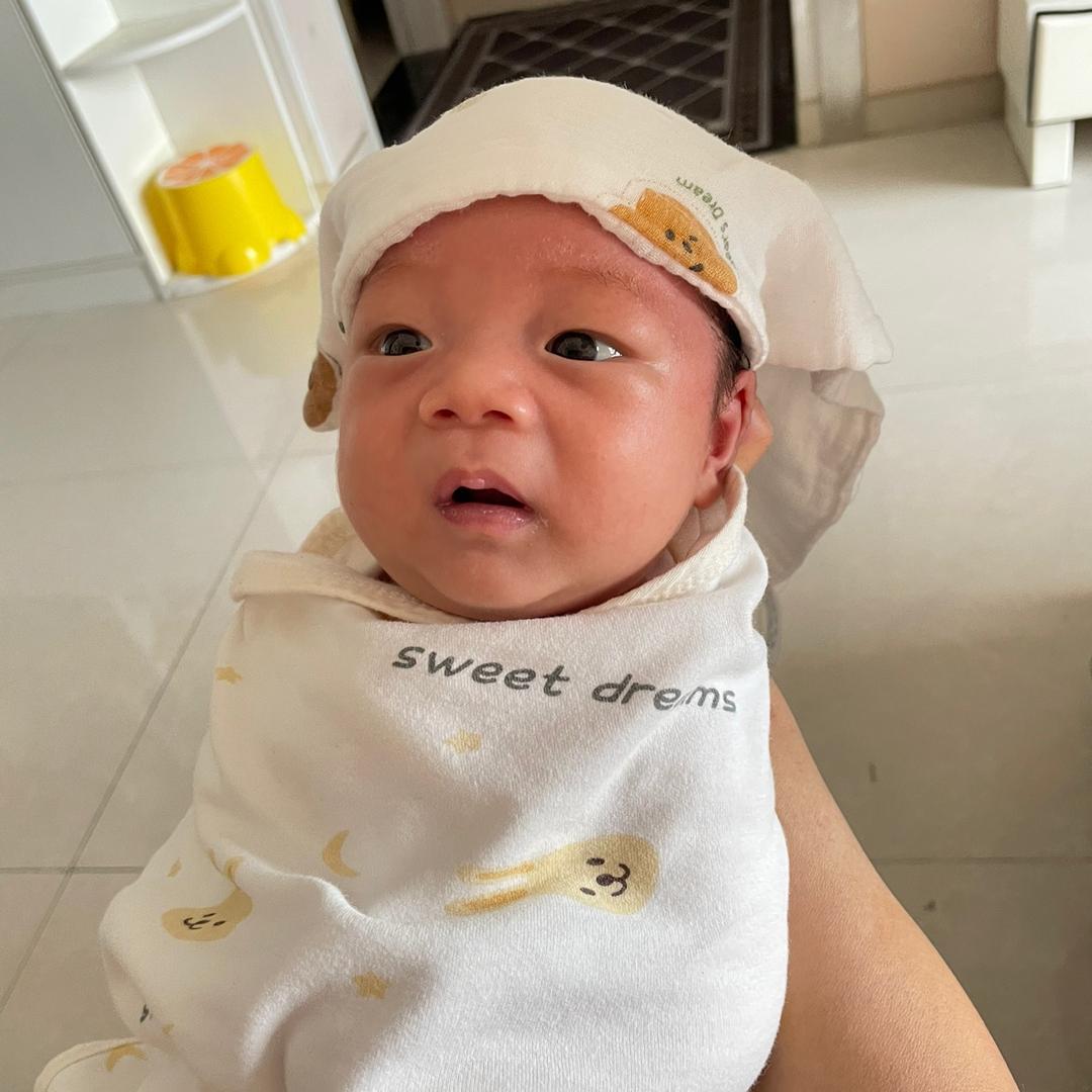 养乐多🍼
