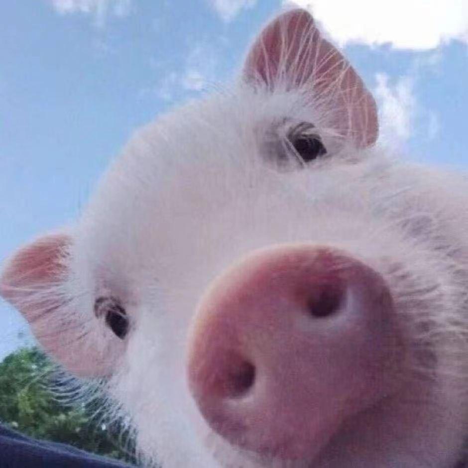 Hhhhhhhhy