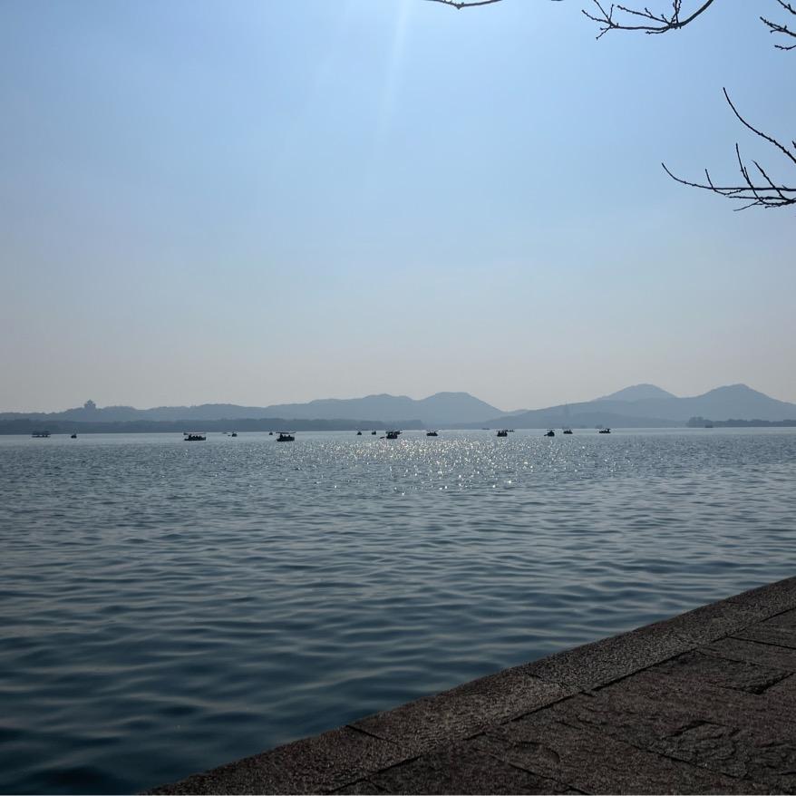 陈老师高考志愿填报