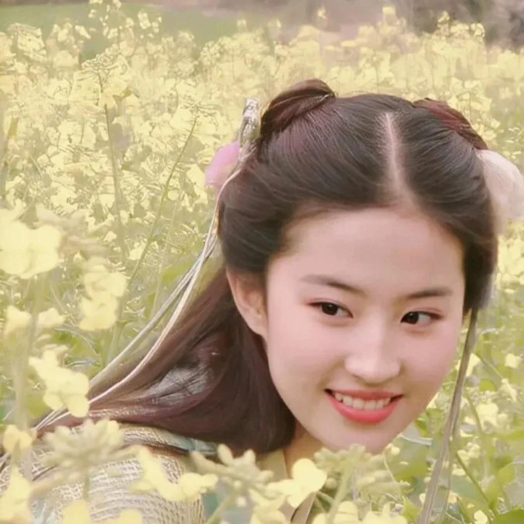 小木的木