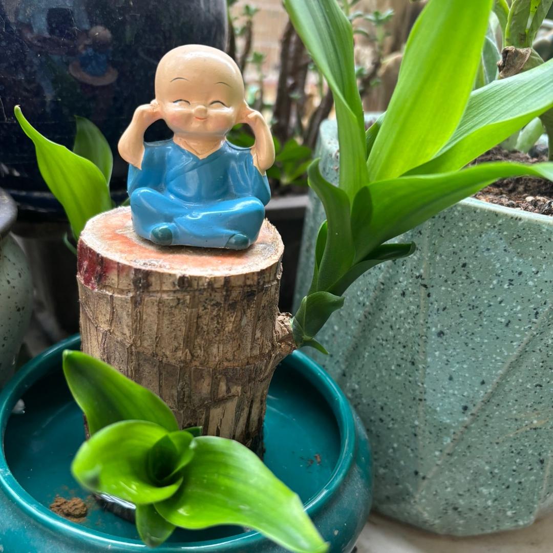 琪琪爱做菜