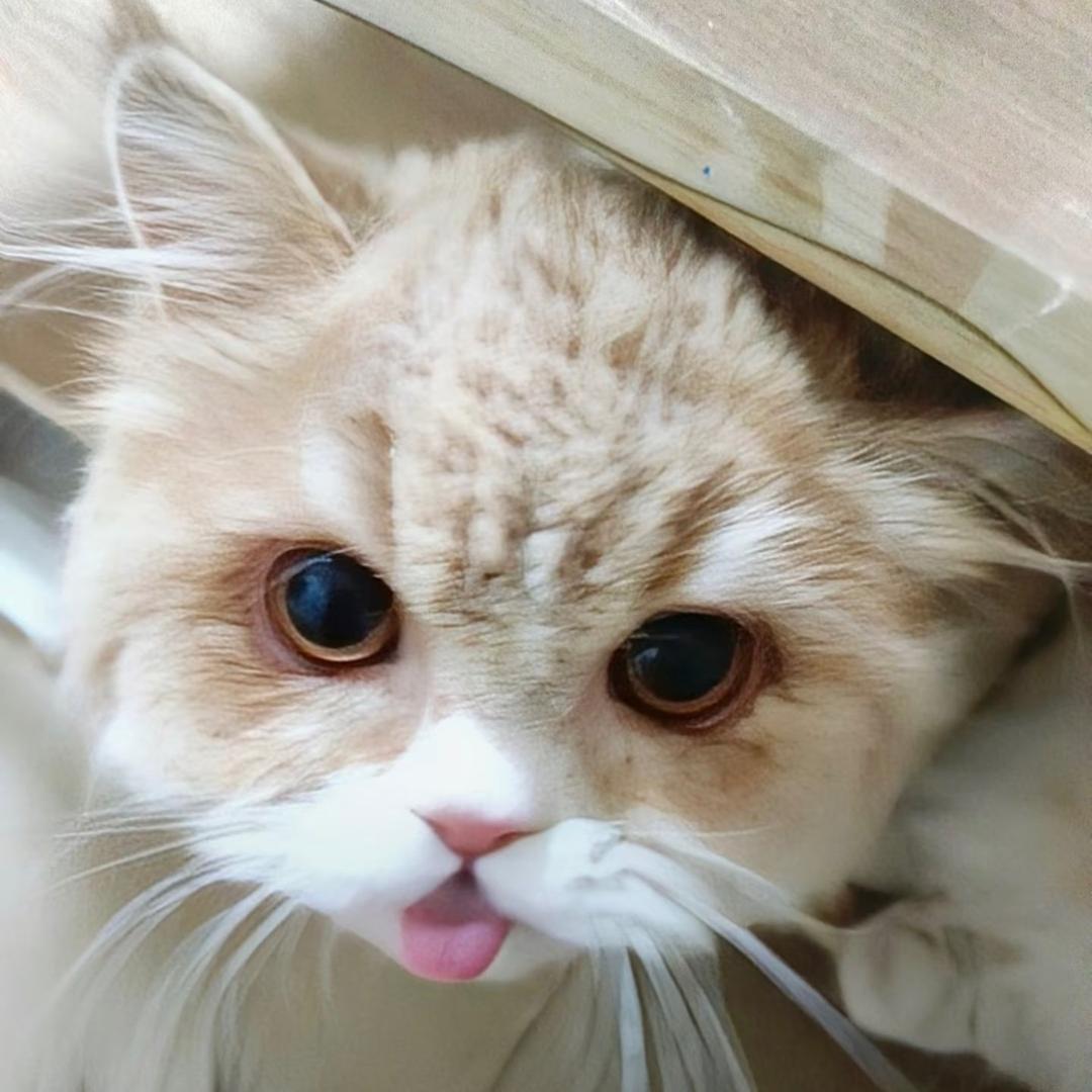 贰
