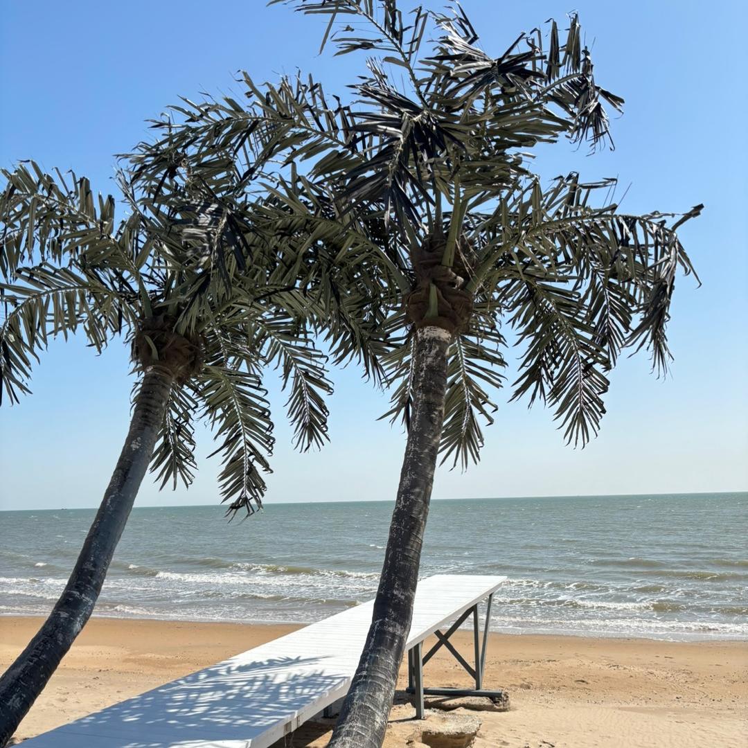 北戴河海边民宿👉索菲亚