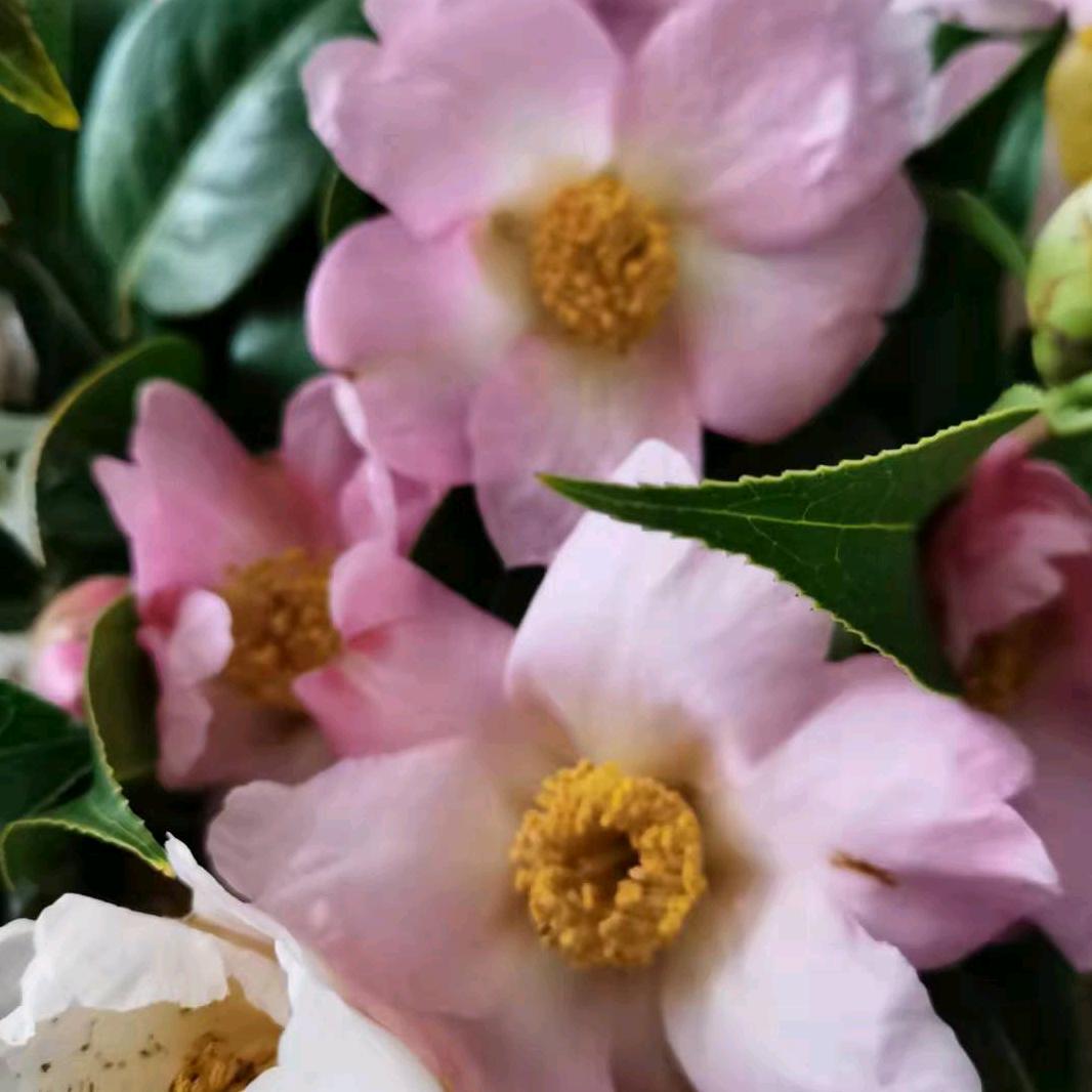 快乐人生:❤ ❤ ❤