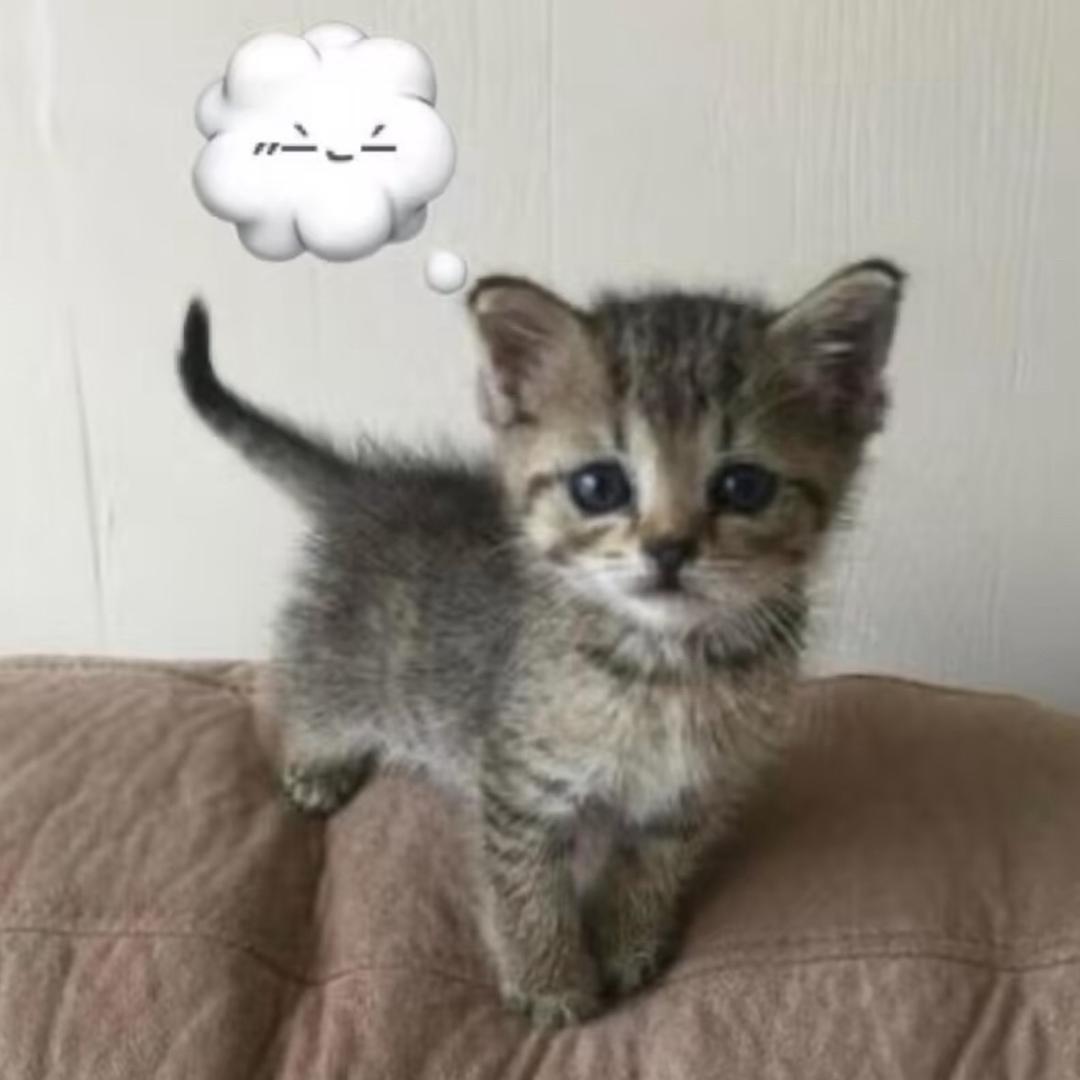 yyu