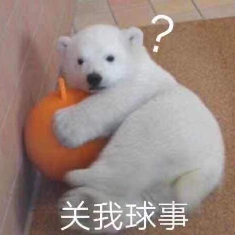 556.（无畏契约）