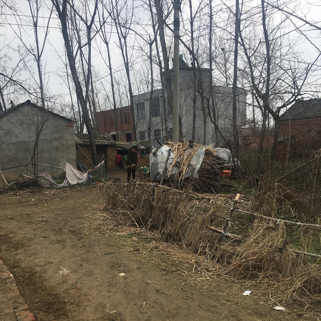 @不楠夫妻（农村生活）