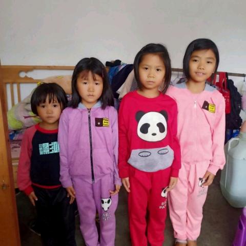 我家有七朵金花