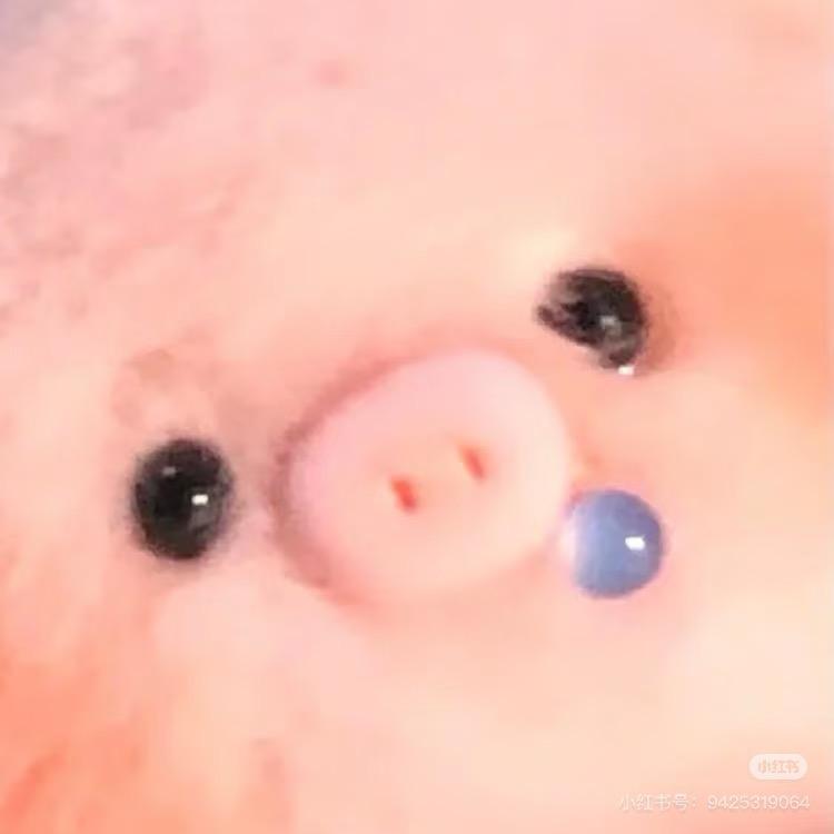 吃掉小珍珠