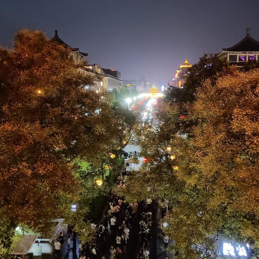 🐝小蜜蜂💫🔱