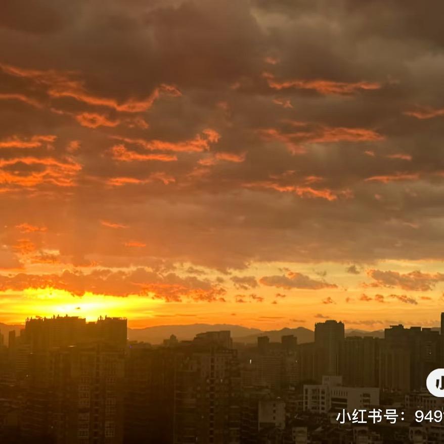 君羊羊羊🐑