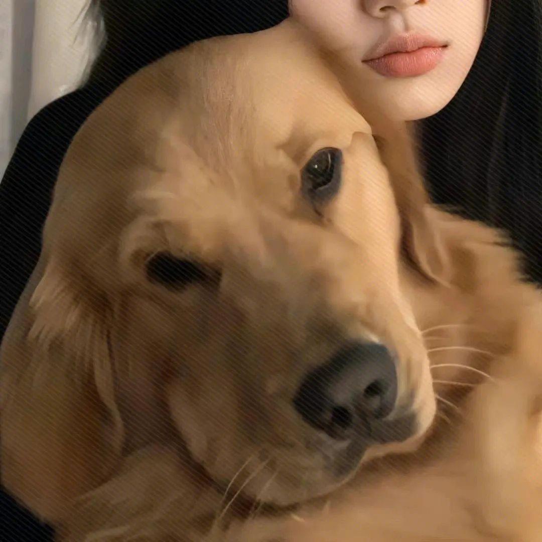 十七•