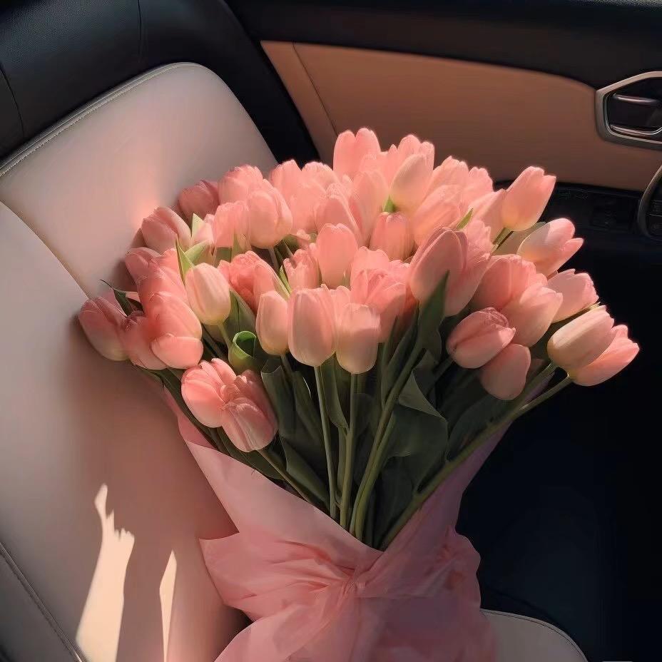 🌷黄油小熊🐻椰🌷