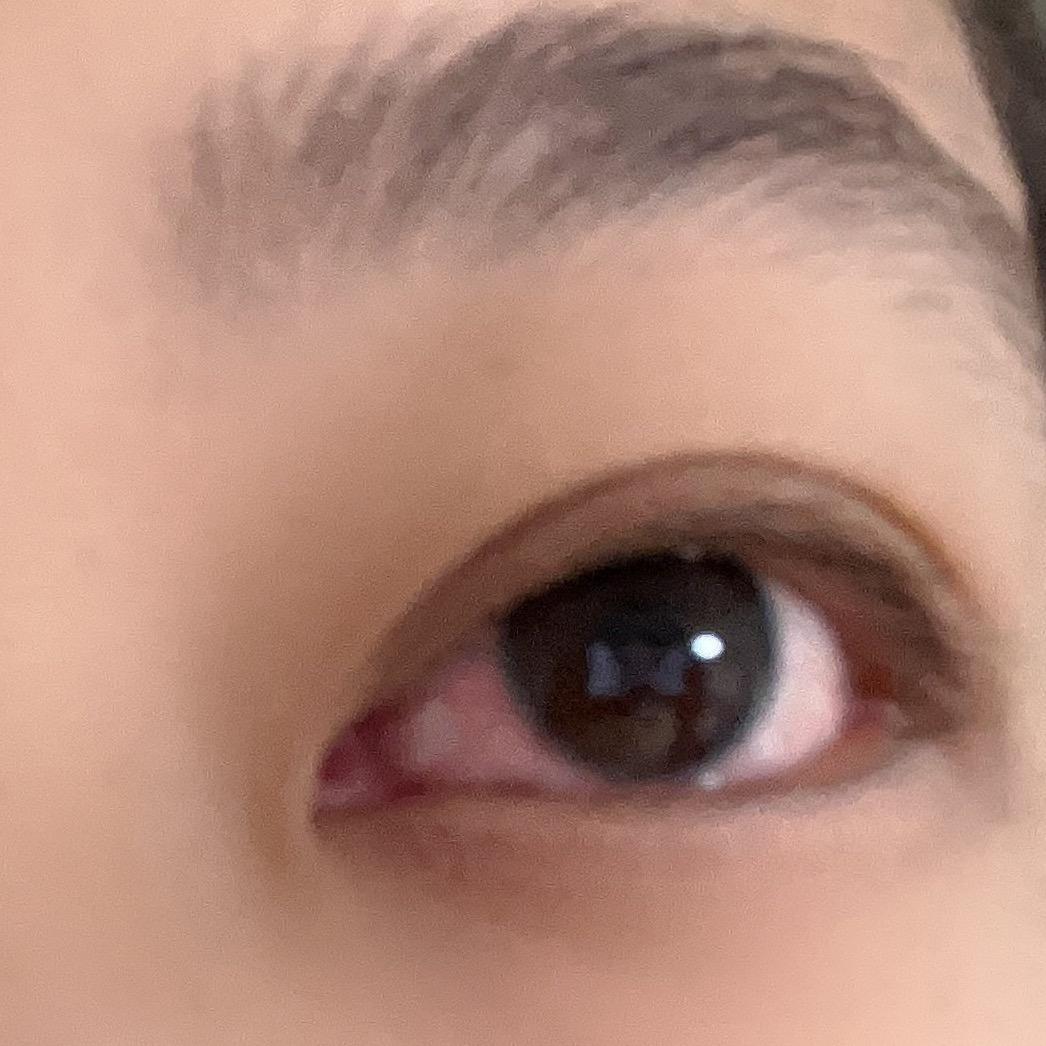 太子太太子