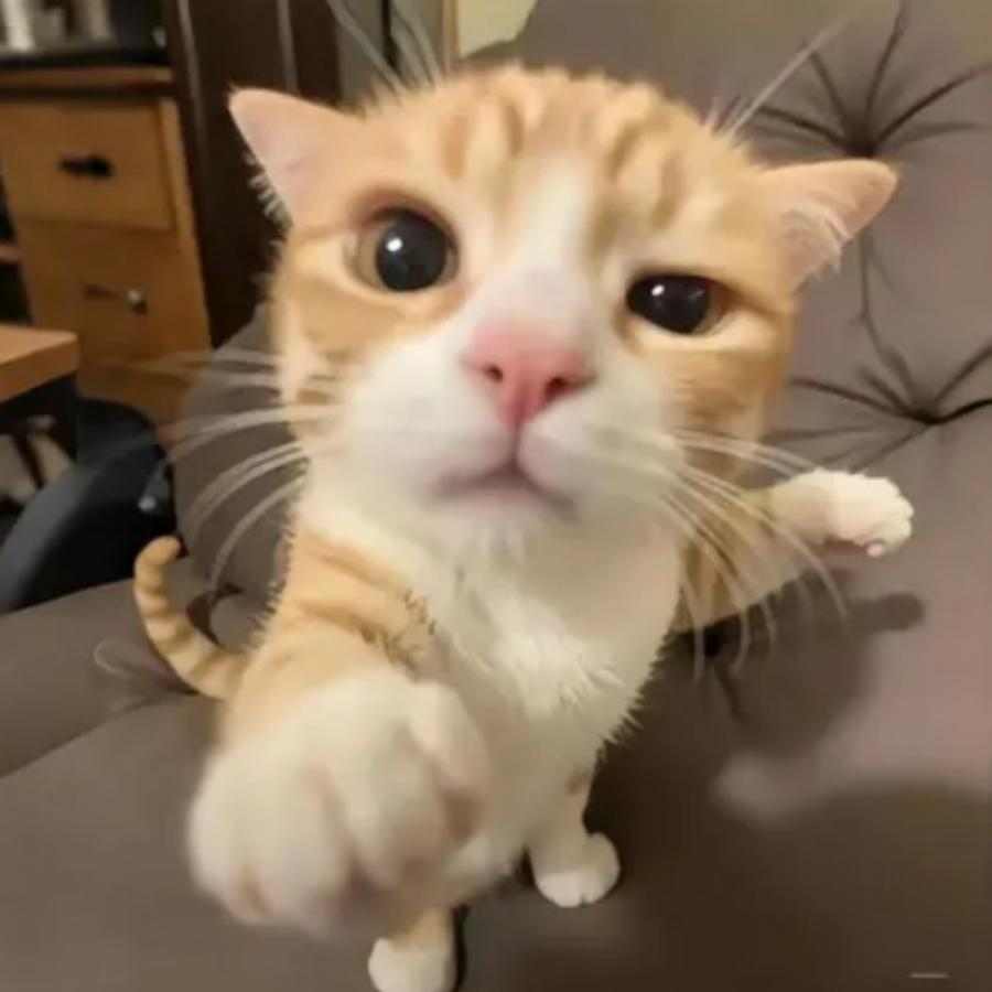 不可原谅的痛苦