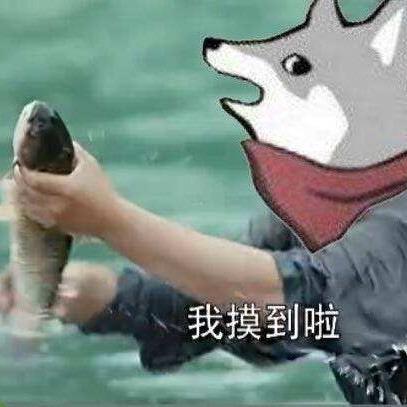 阿龙（三角洲行动）
