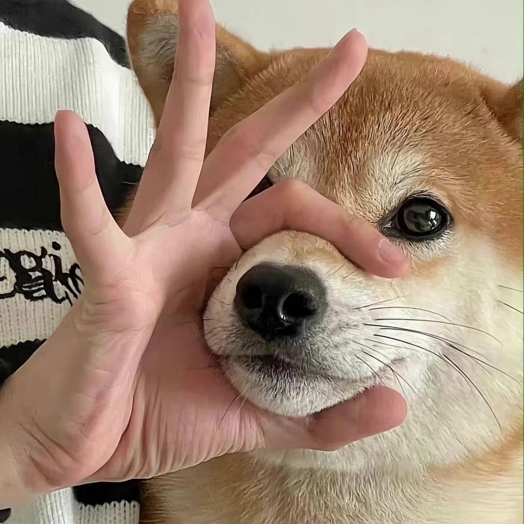 游呀游