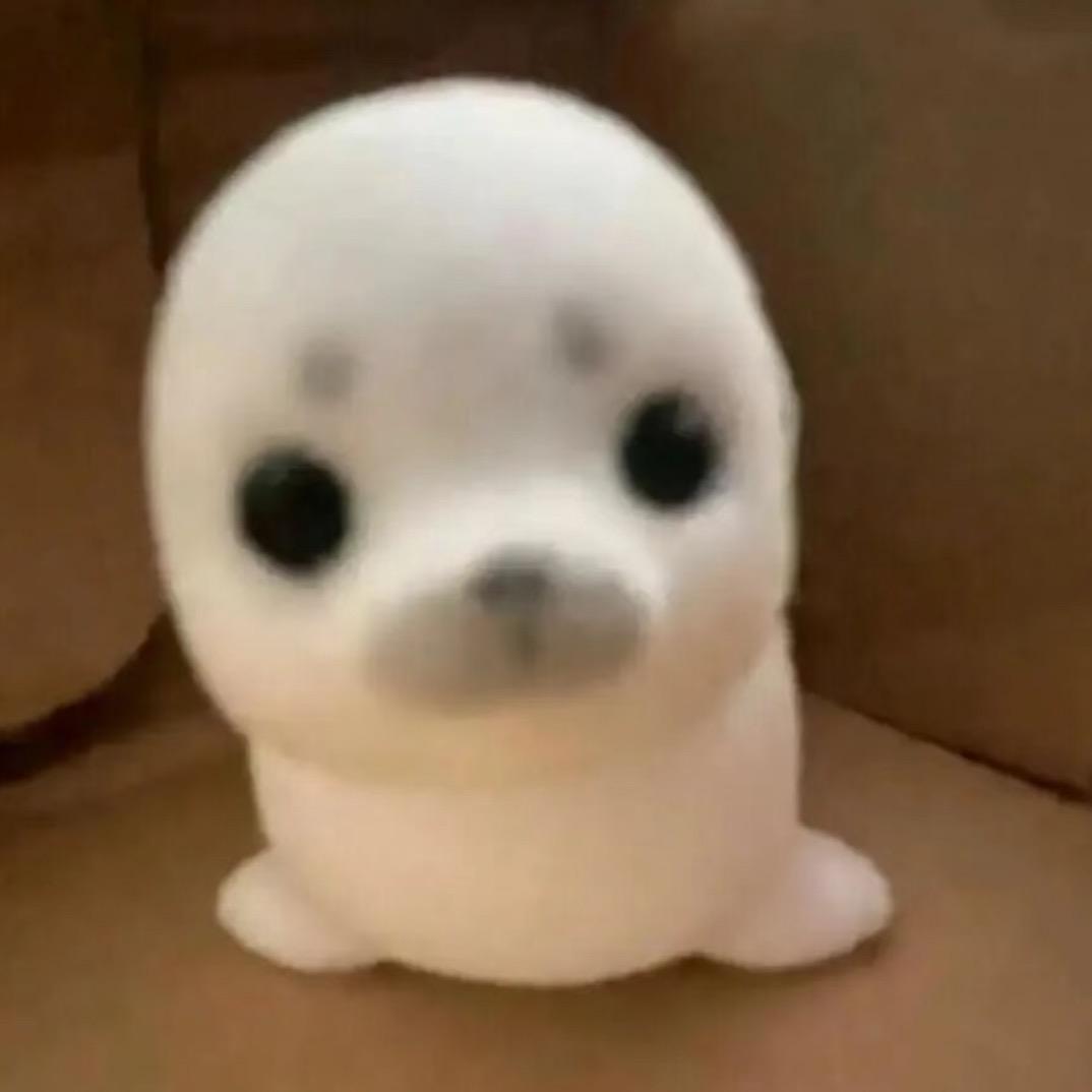 泥不要哇哇叫¹¹¹⁵