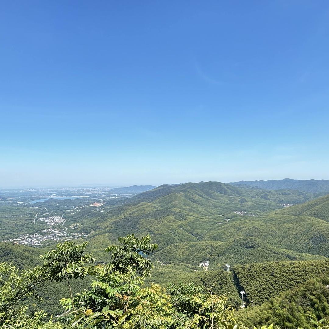 🍵 浮梦🎑₅₂₀¹³¹⁴