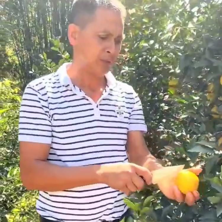 廉江市红江农场关六哥果园