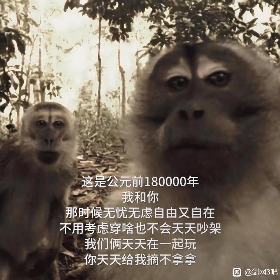 白天混野晚上固定团