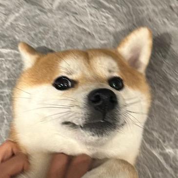 冯解放