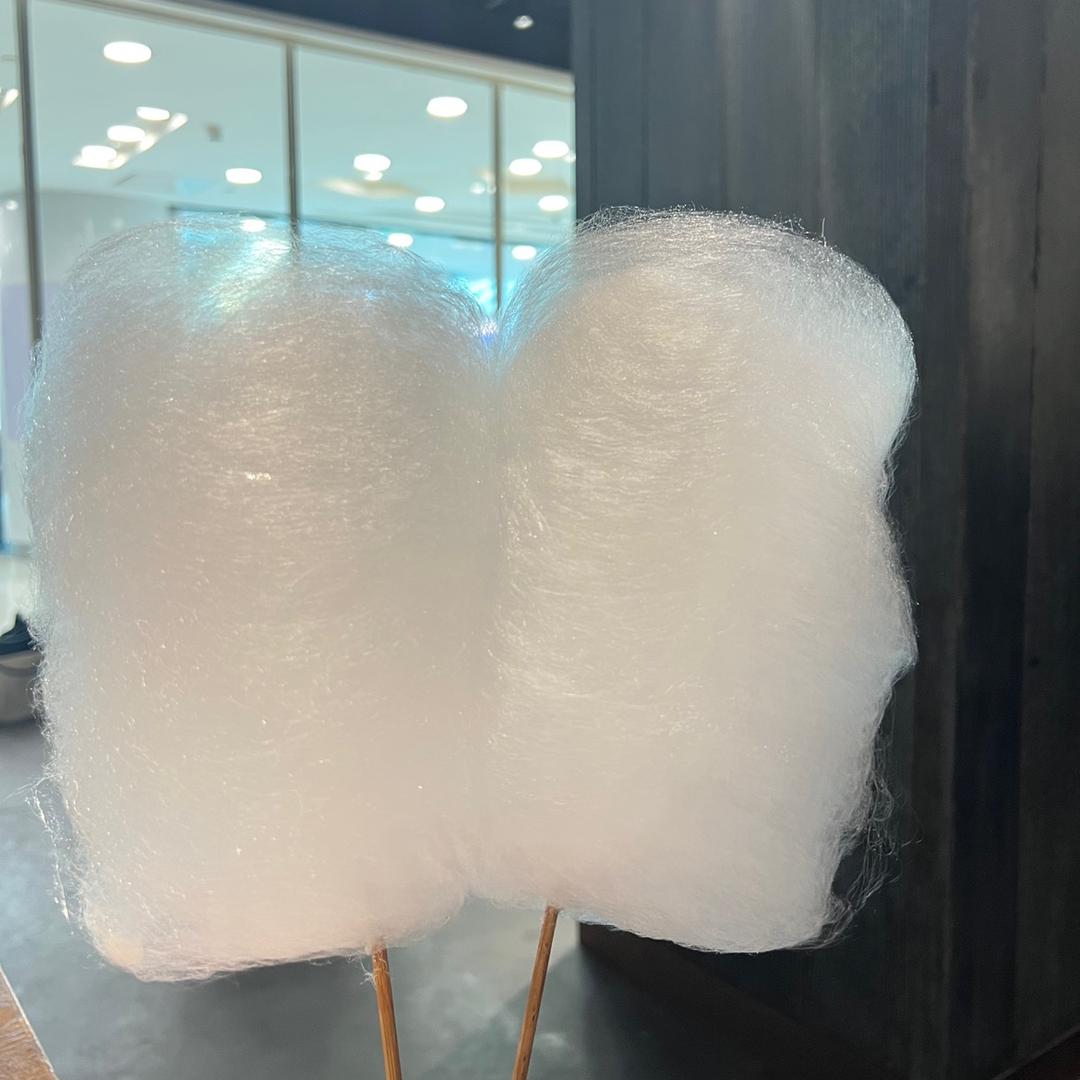 王肖33