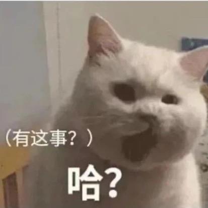 🤨哦豁