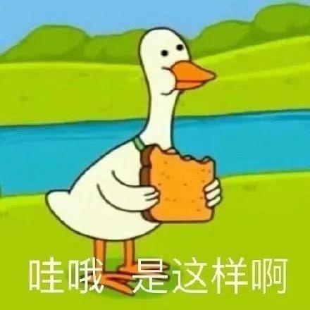 会再见的