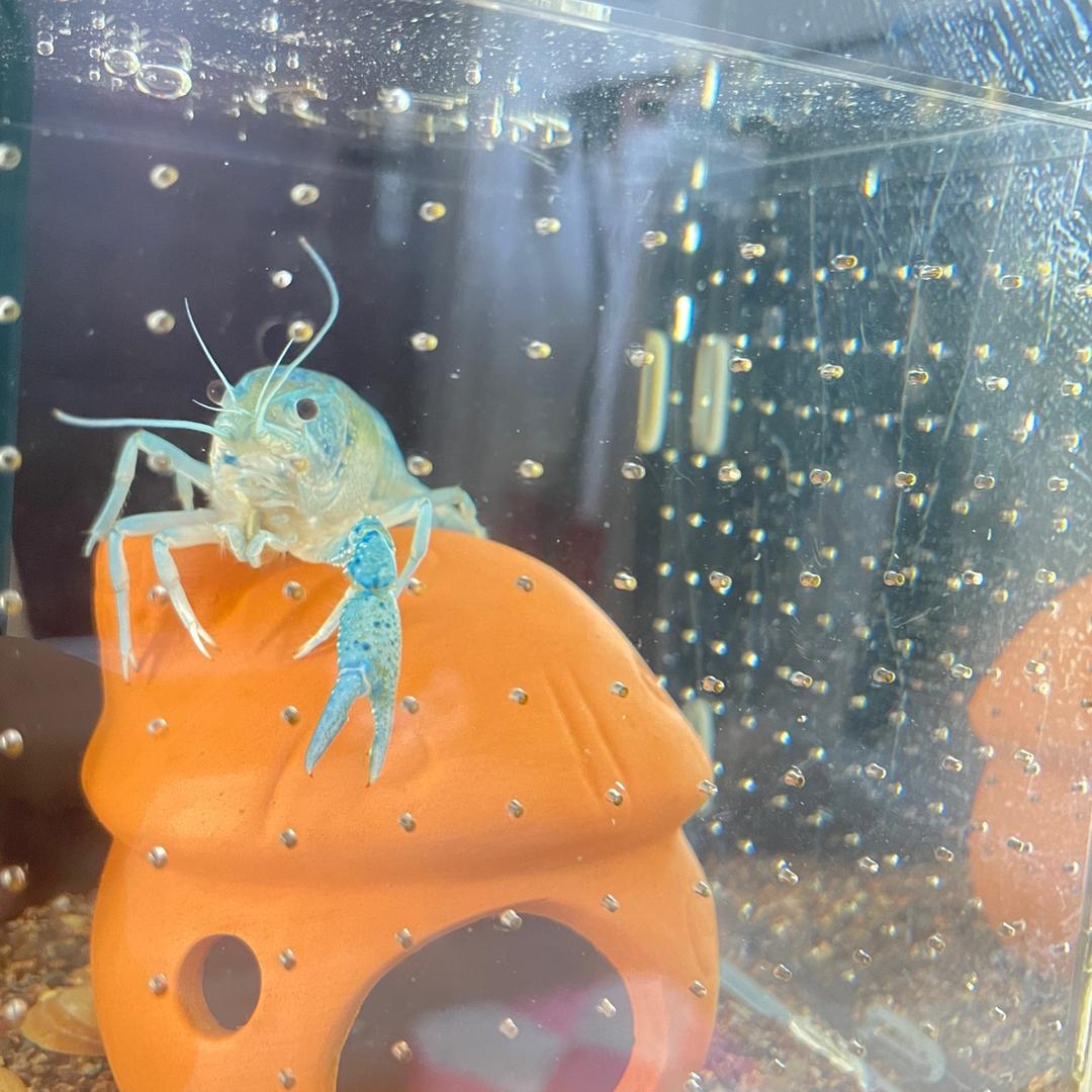 您拨打的用户正在生气请稍后再拨