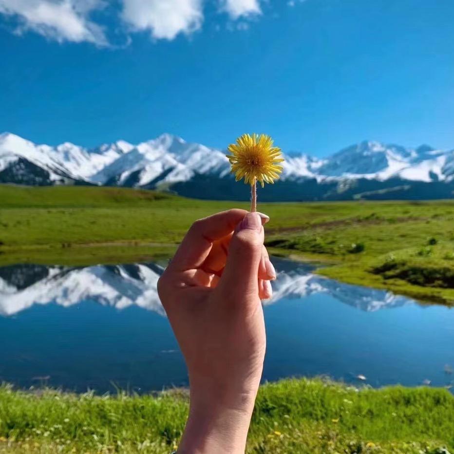 新疆赛天山驼奶粉羊奶粉源头工厂朱文