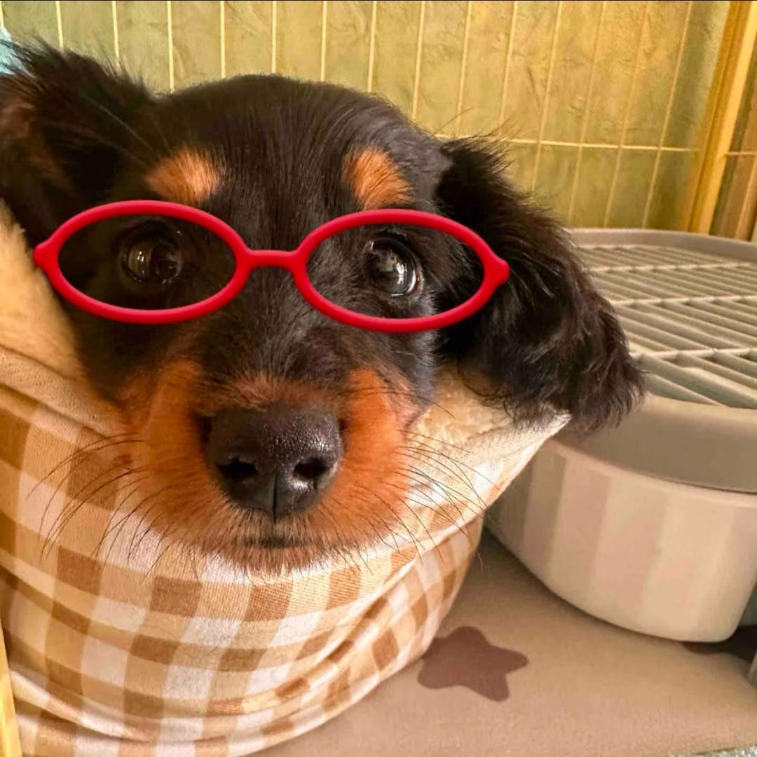 咸鱼要翻身粘锅了