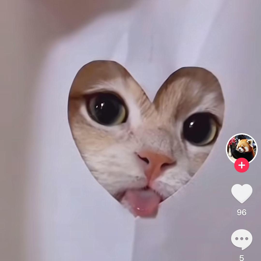 招财猫-王者辅助