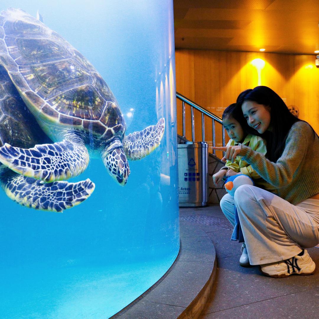 青岛海底世界–天天见