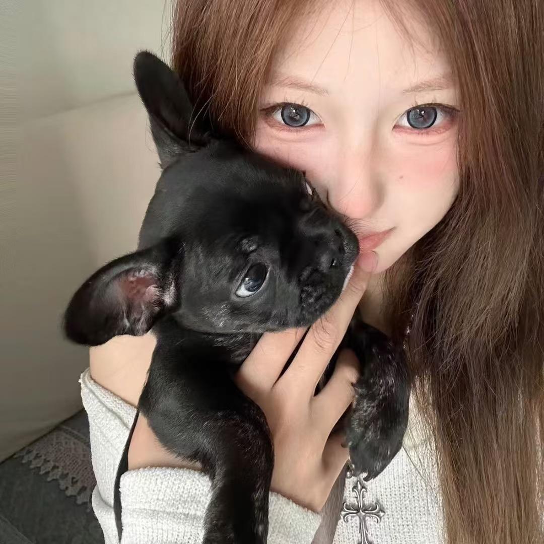 28车行