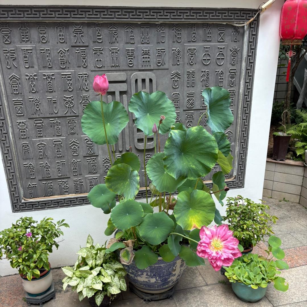 七八九好物甄选