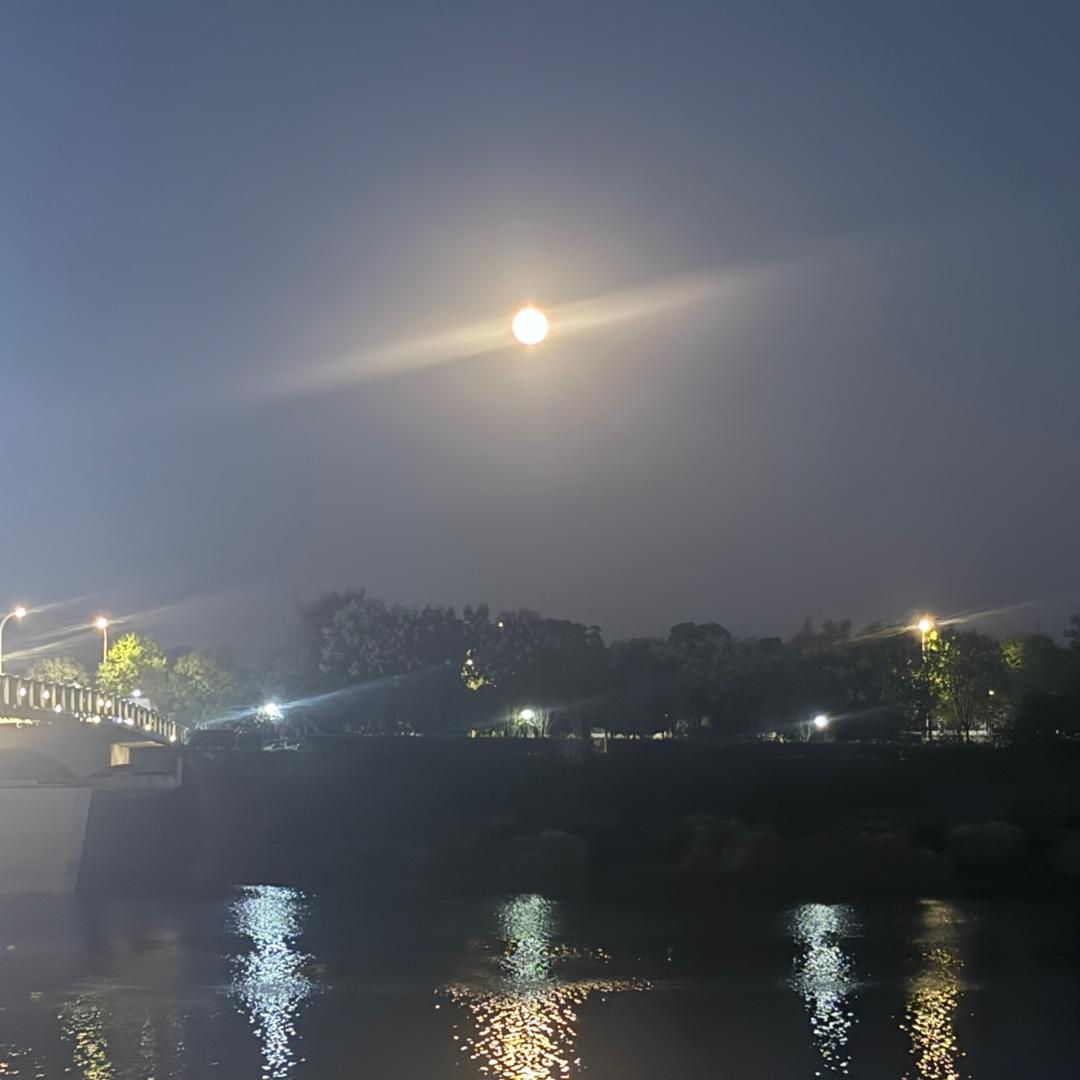 木土土（择偶定位）