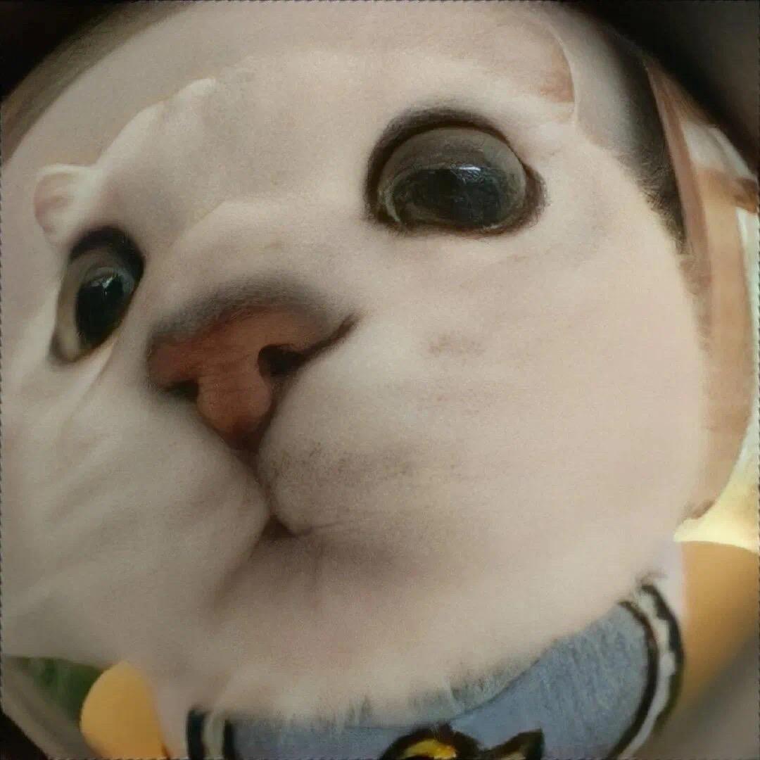 Woey