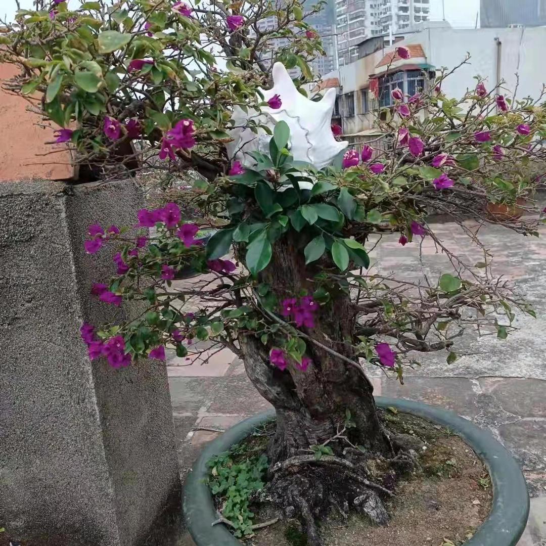 闽南谷