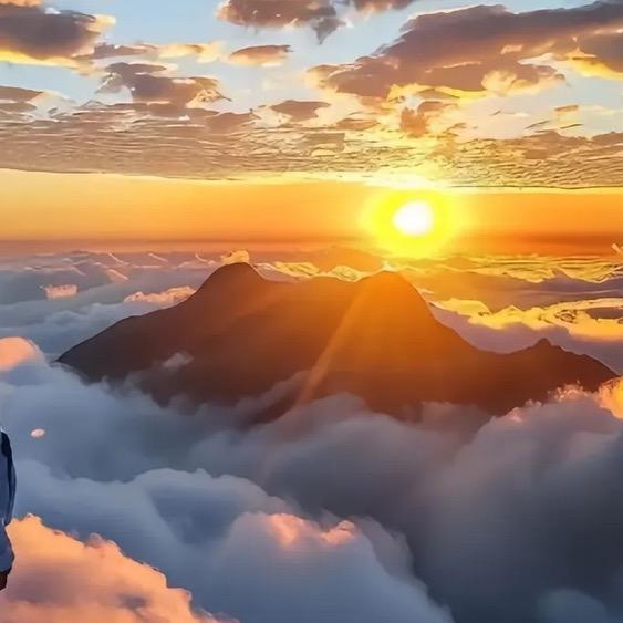 Sun(三角洲行动)