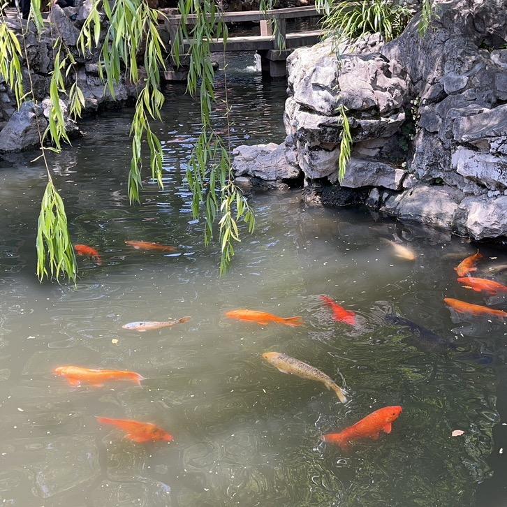 人生就是一场意识的修行