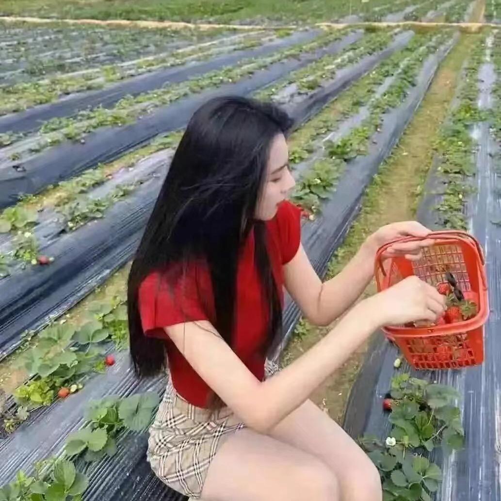 薇薇一笑